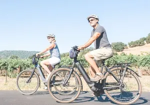 Vine Trail Discovery E-Bike Tour