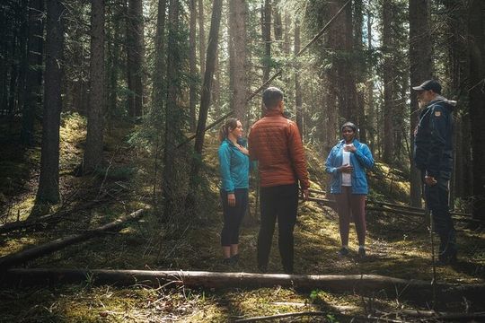Private Forest Bathing Experience Connect with Nature