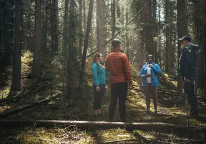 Private Forest Bathing Experience Connect with Nature