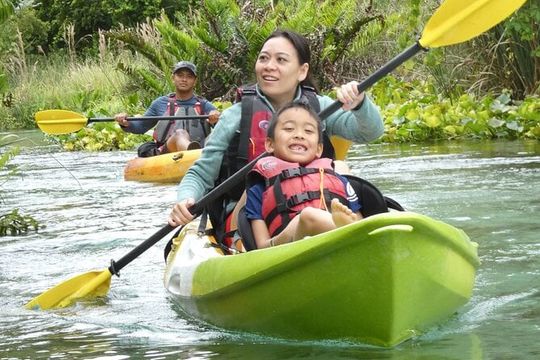 Small Group Rock Springs Run Eco Kayak Adventure