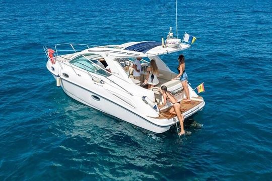 Tenerife Boat Champagne Private Charter Tour