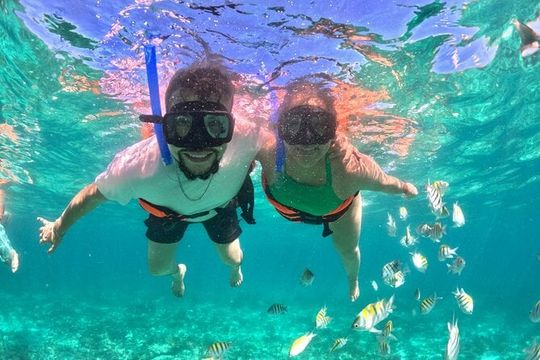 Cabo San Lucas Catamaran Cruise: Snorkel or Sunset Adventure