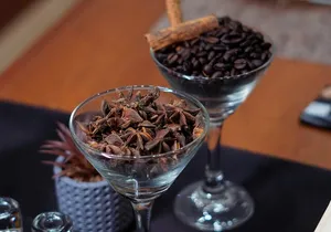 Tequila Tasting & Cocktail Workshop at Tequila Lighthouse - Cabo