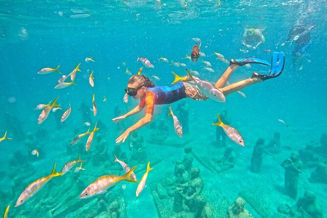 The Original Underwater Sculpture Park Snorkel Tour
