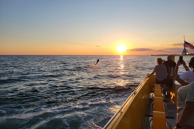Dolphin and Sunset tour aboard the Hydro Rocket