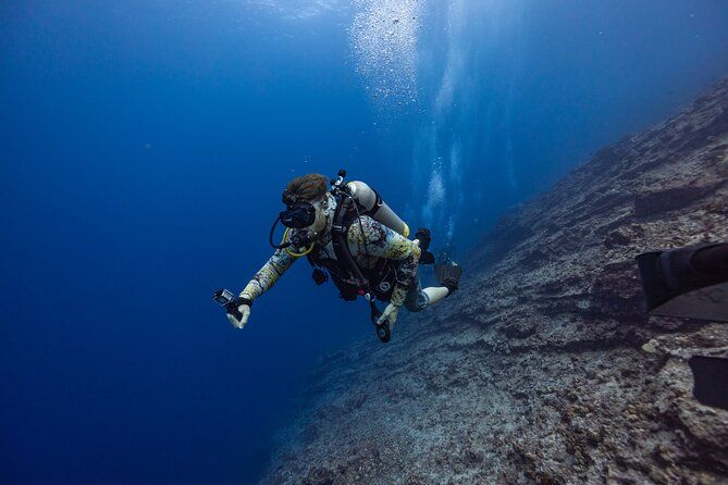 おかもとみわこ　版画　TOROPICAL Diving 26.1.18−2 2-Tank Dive Featuring the Molokini Crater 2026 | Cool Hawaii
