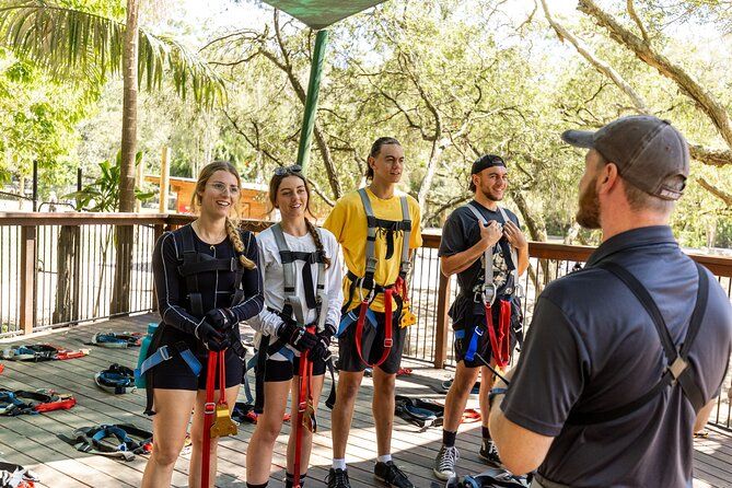 Currumbin High Ropes and Zipline Adventure