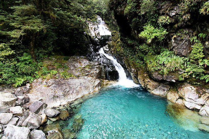 9 Day South to North Island NZ Private Tour from Queenstown