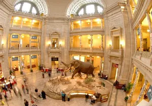 Shared Smithsonian Museum Tour Experience