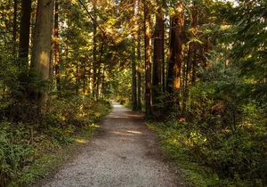 Waterfalls to Whistler Private Tour Roundtrip