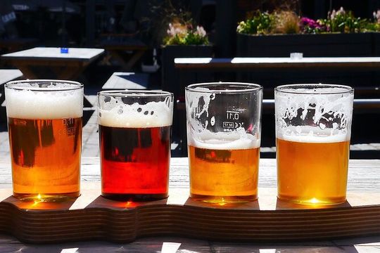 Long Island Wine Tour North Fork Sights Bites Flights Half Day PM