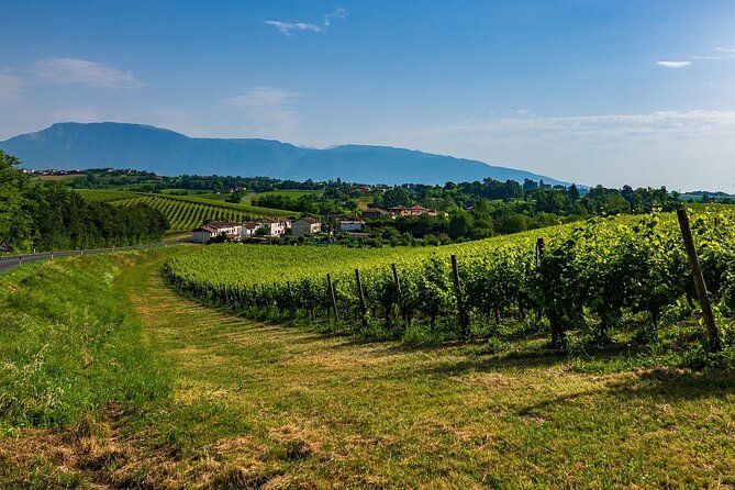 From Verona to Valpolicella: Romance, Villages and Fine Wines