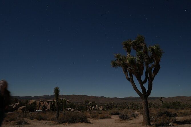 Joshua Tree National Park Private Adventure from Los Angeles