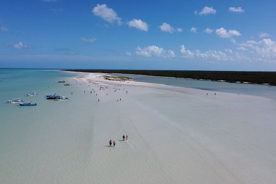 Holbox island: Boat tour & golf cart ride, Lunch and open bar