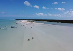 Holbox island: Boat tour & golf cart ride, Lunch and open bar