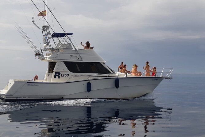 Boat Fishing Walk Families Friends 4 hours Pto Banus Marbella