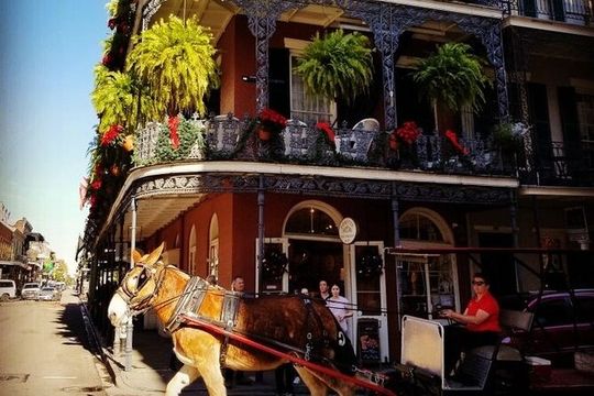 French Quarter Tour with Local Guide and Creole Stories