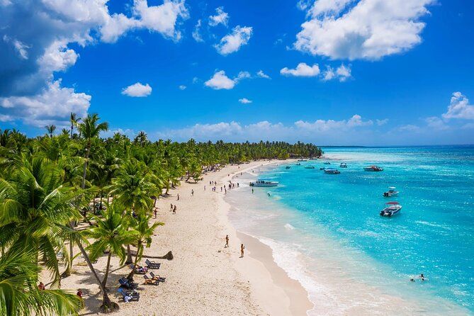 Saône Deluxe Platinum Island