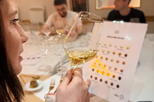 Wine Tasting and Food Pairing