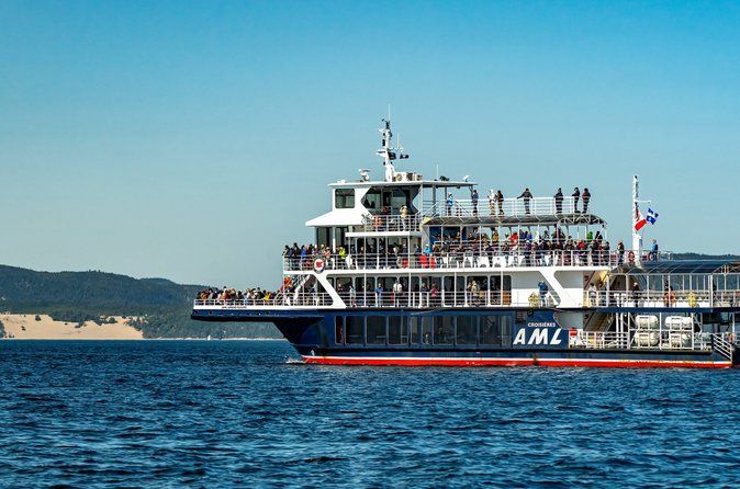 Tadoussac/Charlevoix: Whale & Bear Wildlife Tour