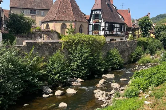 Alsace's Villages, Colmar and Castle Private Car Tour for 1-6