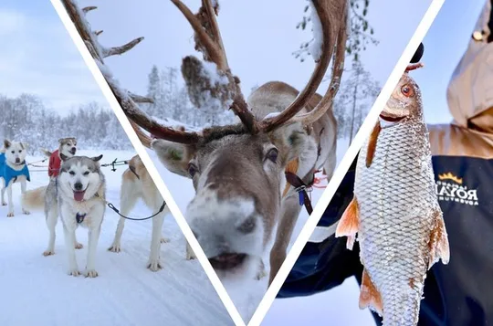 Husky Ride, Reindeer Ride and Ice Fishing One Day Experience