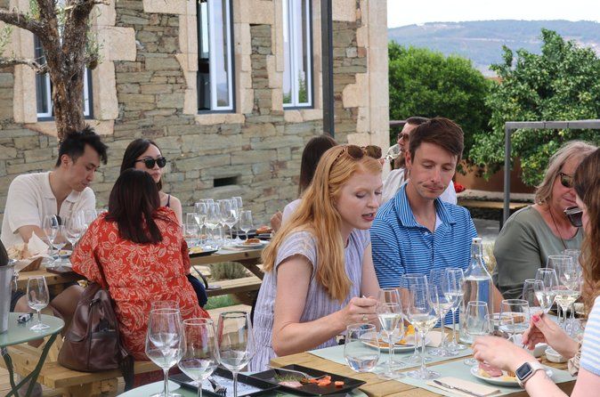 Douro Valley: Half-Day Tour w/ Brunch, Tastings & 1-h Cruise