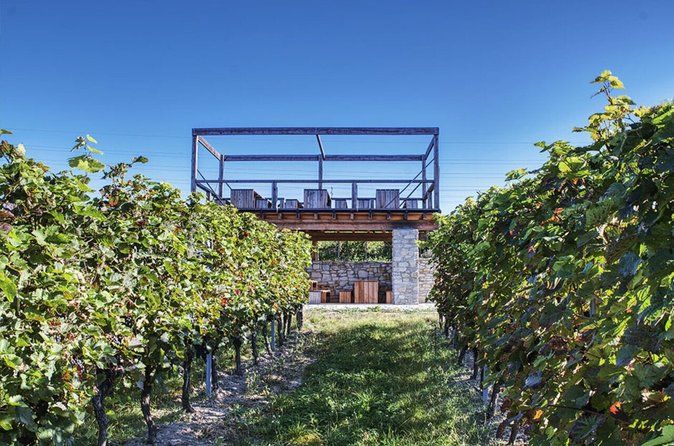 From Prague: Private Bohemian Wine Tour & Local Delicacies