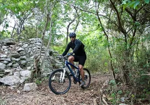 Mountain Bike Jungle Tour and Cenote