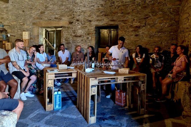 Full-Day Douro Valley: 3 Wineries, Tastings and Lunch