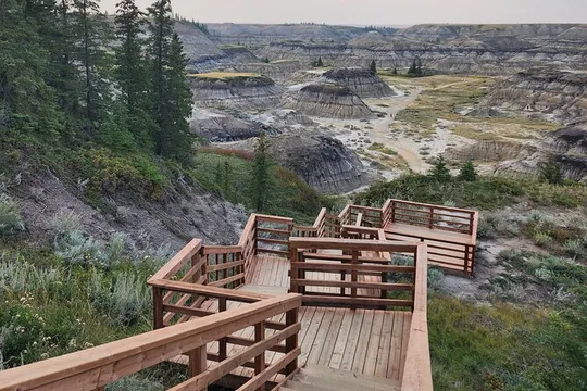 Badlands Small Group Guided Tour: Calgary to Drumheller Dinosaurs