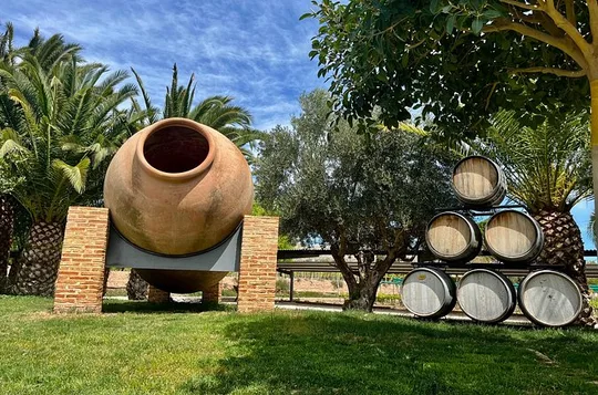 Alicante Wine Route with Tastings and Appetizer