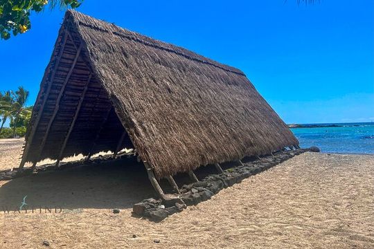 Kona Port: Private History & Farmer's Market Excursion