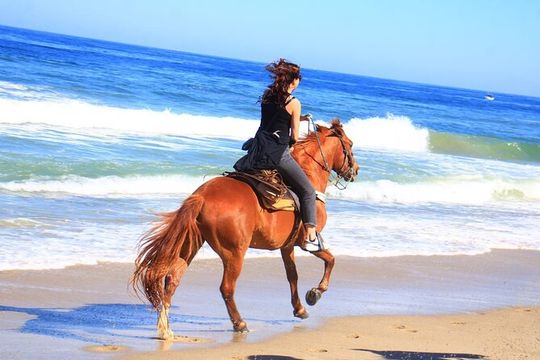 Horseback Riding Adventure in Punta Mita Nayarit