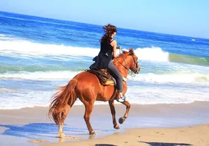 Horseback Riding Adventure in Punta Mita Nayarit
