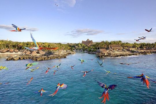 Xcaret Park Day Tour & Night Show with Transportation