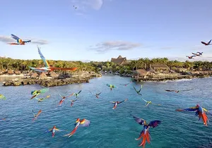 Xcaret Park Day Tour & Night Show with Transportation