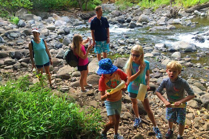 Discovery of Guadeloupe: Waterfalls, Canyons and Adventure