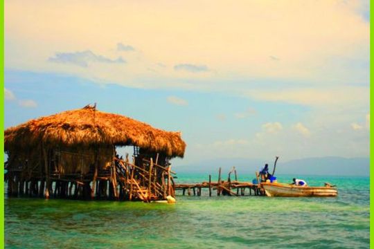 YS Falls, Black River Safari and Floyd Pelican Bar from Falmouth