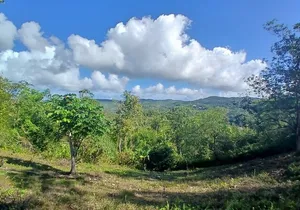Lethe Mountain Valley Hiking