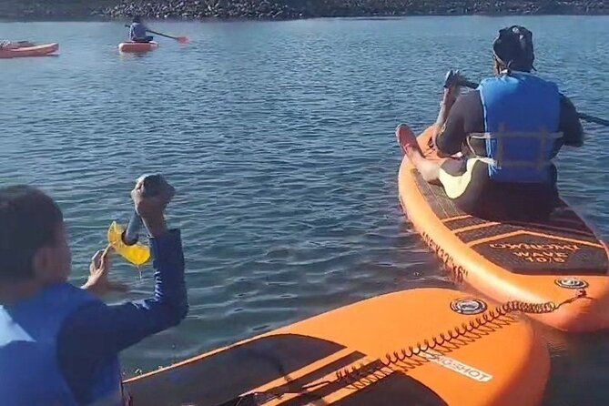 Clear kayak & Bamboo raft ARUBA! Same Day Delivery! PACKAGE DEAL!