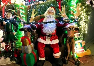 Private Fully Guided Dyker Heights Christmas Lights Tour