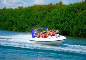 Speed of the Mayan Jungle