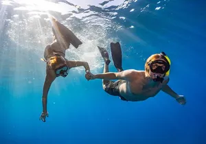 Two Site Snorkeling Adventure featuring the Molokini Crater