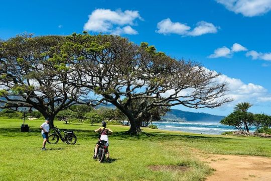 Guided E-Bike Tour in North Shore