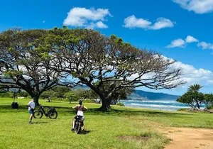 Guided E-Bike Tour in North Shore