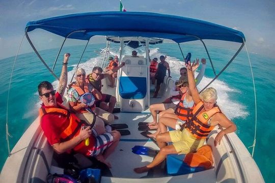 Swim with Whale Shark from Cancun