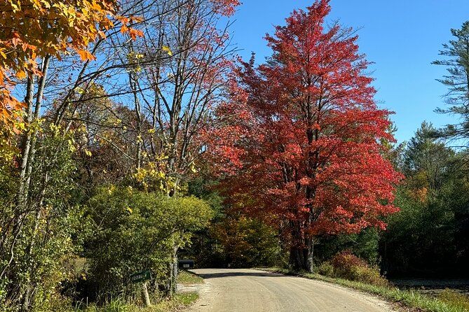 Vermont Wayfinders Fall Foliage Private Tour