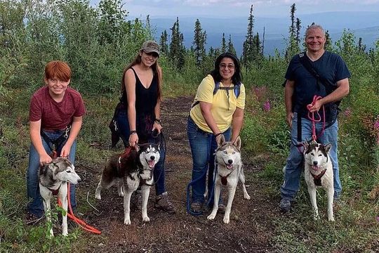 Husky Hike - Guided Nature Walk w/ Siberian Huskies
