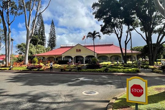 Private Circle Island Tour North Shore and East Side